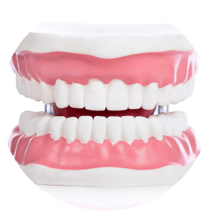 Periodontology